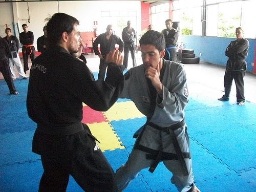 Sucesso no primeiro evento de 2013 da Federa��o Mineira de Hapkido