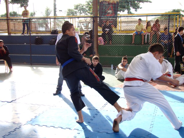Campeonato Mineiro de Hapkido 2013