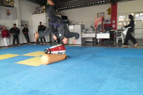 Curso Estadual de Instrutores e Cl�nica Mineira de Hapkido 2014