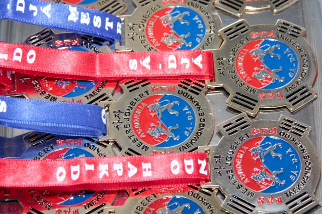 Hapkido Evolution Fight 2014