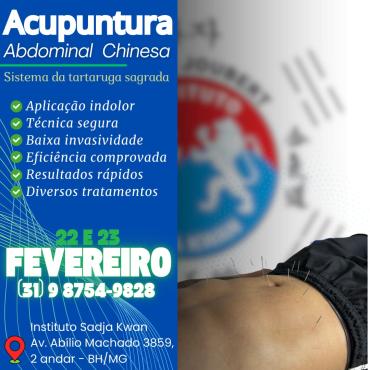 CURSO DE ACUPUNTURA ABDOMINAL CHINESA